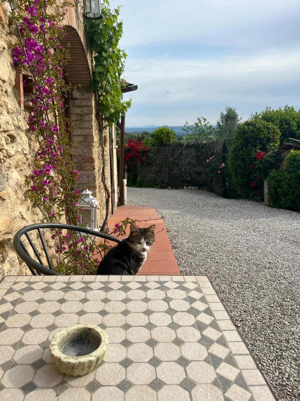Villa Antico Casolare à San Gimignano Extérieur photo
